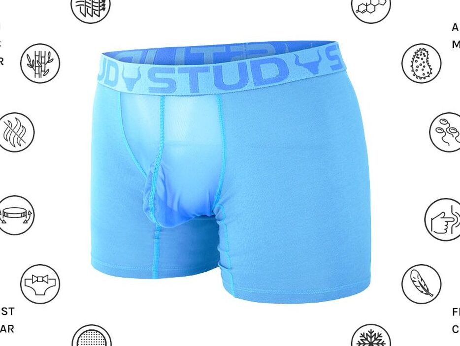 Stud Briefs (Briefs) Varicocele and Fertility Underwear (XS, BLUE